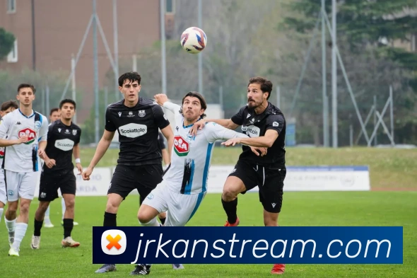 App Interface Preview